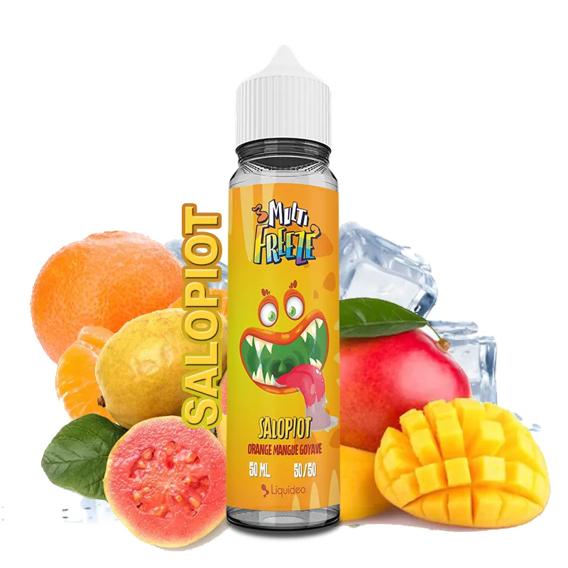 CHTIVAPOTEUR-LIQDEO-MLTFREEZ-SALOPIOT-50ml_salopiot-50ml-multi-freeze-liquideo