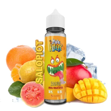 CHTIVAPOTEUR-LIQDEO-MLTFREEZ-SALOPIOT-50ml_salopiot-50ml-multi-freeze-liquideo
