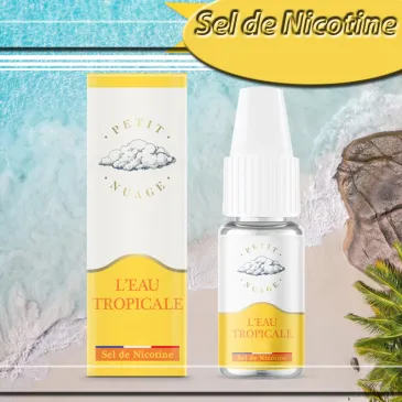 CHTIVAPOTEUR-saltptinuag-eautrop-eau-tropicale-10ml-salt-petit-nuage-pretty-cloud-roykin