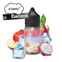CHTIVAPOTEUR-CON-ETASTY-LEVANT-30ml_concentre-levante-30ml-windy-juice-e-tasty