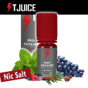Tjuice - Red Astaire SALT