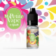 CHTIVAPOTEUR-salt-mpv-liq-pechcassic-peche-cassis-salt-ma-petite-vape