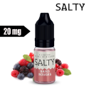 CHTIVAPOTEUR-SALTY-BROUGE-SAVOUREA