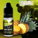 CHTIVAPOTEUR-REV-ARANANA_concentre-ananas-10ml-revolute